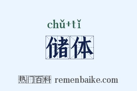 储体是什么意思的图片